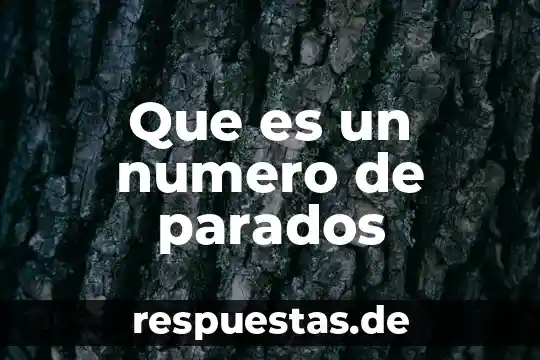 ¿Qué es el número dinámico de autenticación? 3 Que es un numero de parados