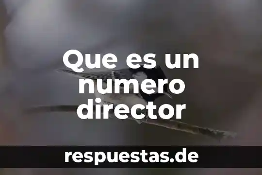 Qué es un duplo de un número 6 Que es un numero director