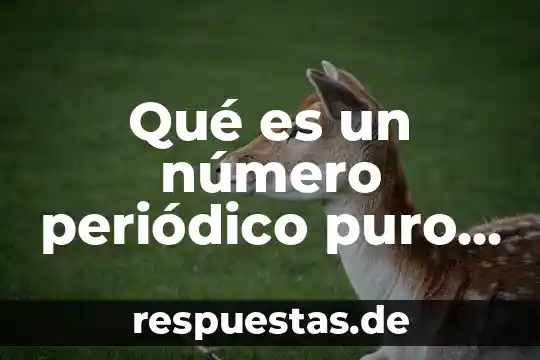 Qué es un sistema de producción mixto 3 Qué es un número periódico puro y mixto