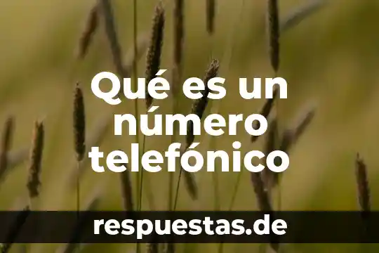 Qué es razonamiento número y un ejemplo 7 Qué es un número telefónico
