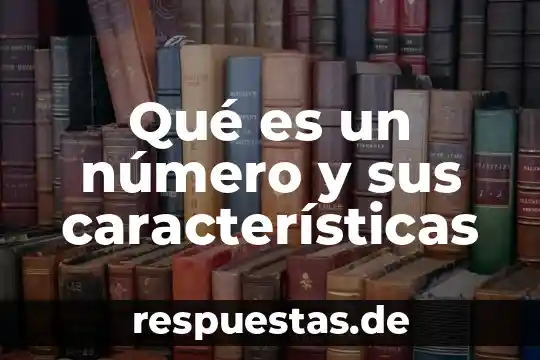 Qué es el número de área 4 Qué es un número y sus características