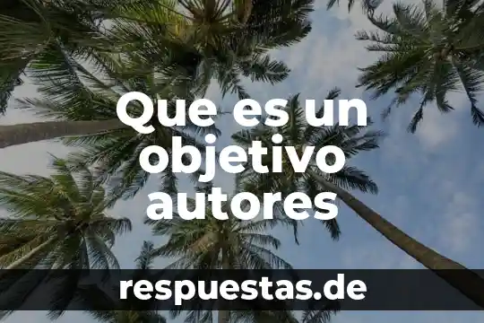 Que es contabilidad significado de algunos autores 6 Que es un objetivo autores