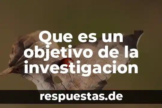 Que es ser objetivo en el periodismo 7 Que es un objetivo de la investigacion