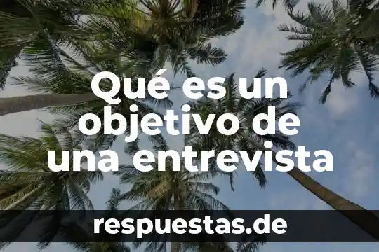 Que es una entrevista y su objetivo 5 Qué es un objetivo de una entrevista