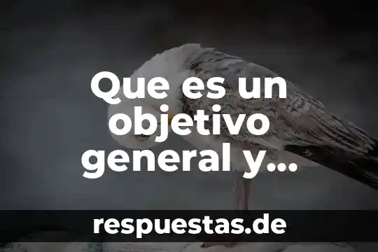 Que es un objetivo general y especifico ejemplos