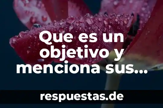 Que es preposicion significado en ingles 8 Que es un objetivo y menciona sus usos ingles