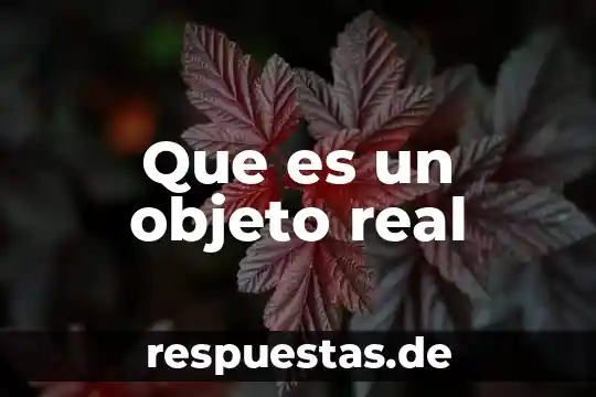 Que es un estado del objeto en poo 6 Que es un objeto real