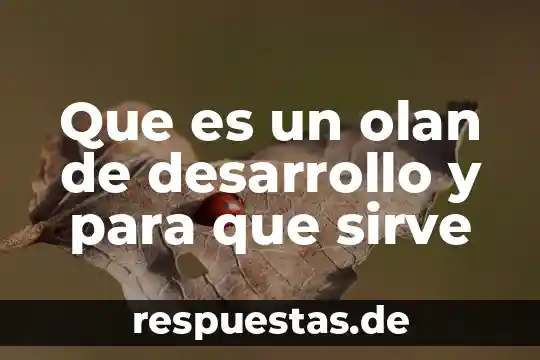 Que es un olan de desarrollo y para que sirve