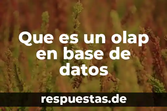 Que es una base de datos bien explicado el significado 4 Que es un olap en base de datos