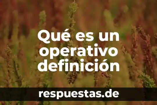 Que es conocimiento operativo de una empresa 5 Qué es un operativo definición