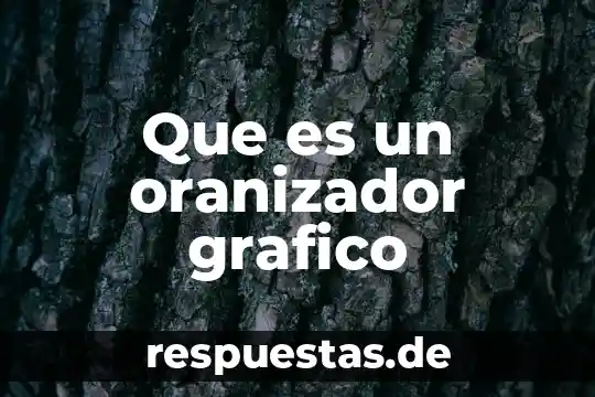 Reconocimiento grafico que es 3 Que es un oranizador grafico