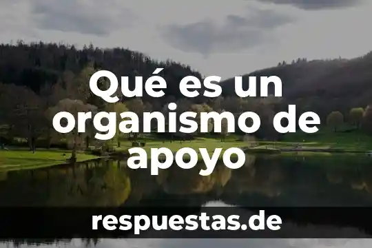 Qué es un organismo de apoyo