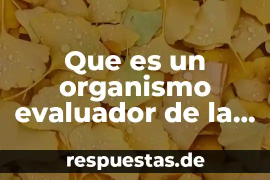 Para que es importante el fosforo en el organismo 5 Que es un organismo evaluador de la conformidad