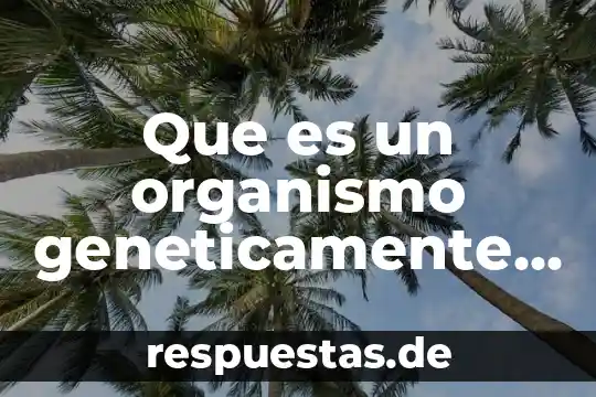 Que es un juego modificado y jemplos 3 Que es un organismo geneticamente modificado libro