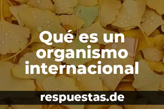 Para que es importante el fosforo en el organismo 6 Qué es un organismo internacional
