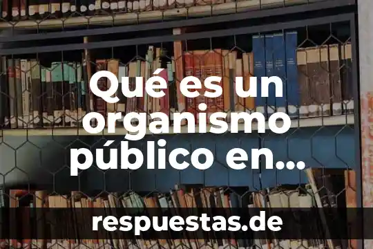Qué es un organismo público en seguridad social