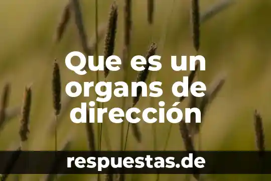 Que es un organs de dirección