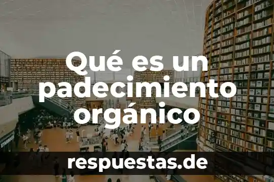 Que es un credito a distribuidor 3 Qué es un padecimiento orgánico