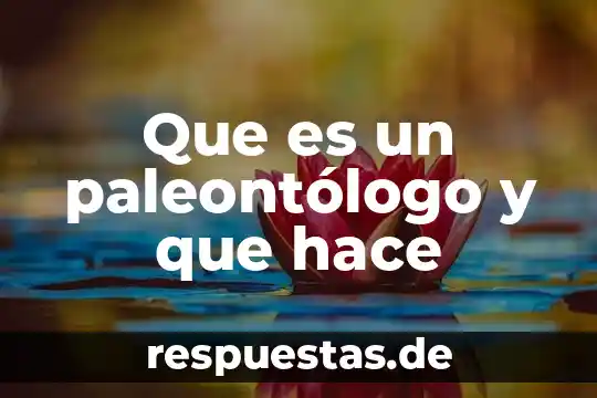 Qué es el whisky y cómo se hace 4 Que es un paleontólogo y que hace