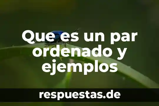 Qué es arquitectura y ejemplos 5 Que es un par ordenado y ejemplos