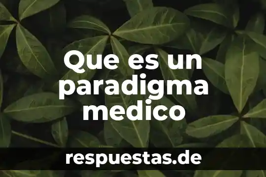 Que es lo que realiza el internista 7 Que es un paradigma medico