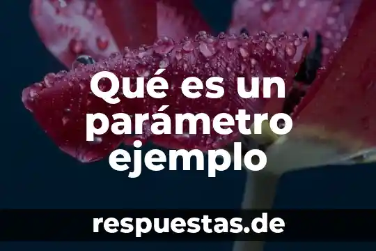 Qué es un parámetro ejemplo