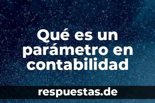 Qué es un parámetro en contabilidad