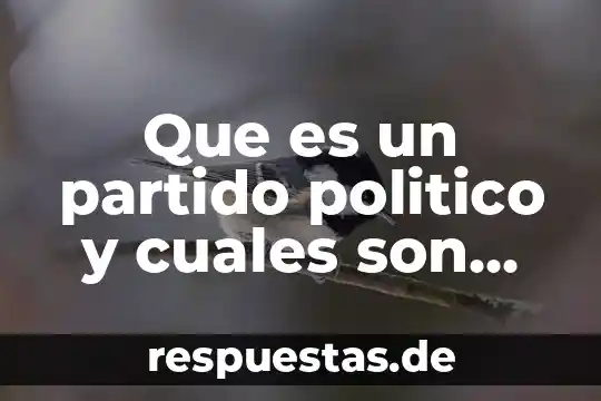 Qué es un número dígito y cuáles son 8 Que es un partido politico y cuales son sus funciones