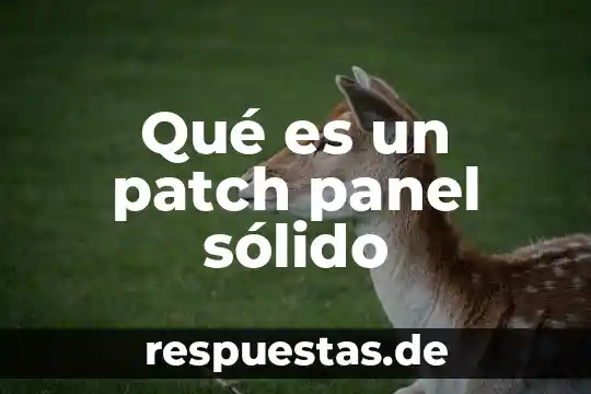 Qué es panel en inglés 8 Qué es un patch panel sólido