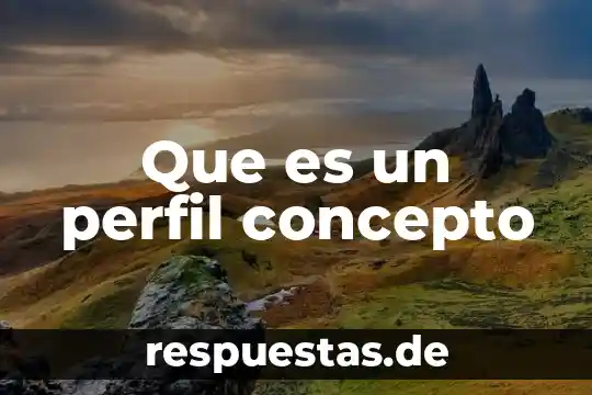 Que es un perfil concepto