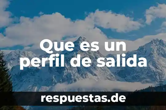 Que es un perfil de salida