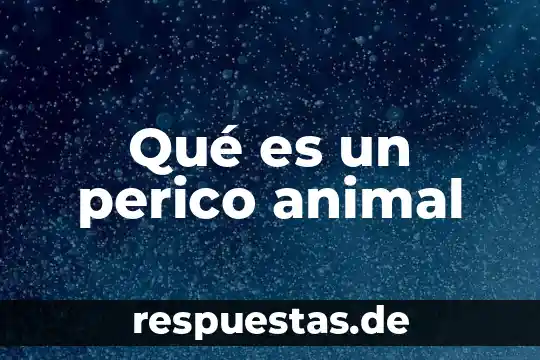 Que es una clase de animal 7 Qué es un perico animal