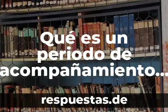 Qué es el valor residual en un arrendamiento 5 Qué es un periodo de acompañamiento en una planta residual