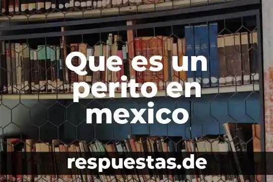 Que es un perito en mexico