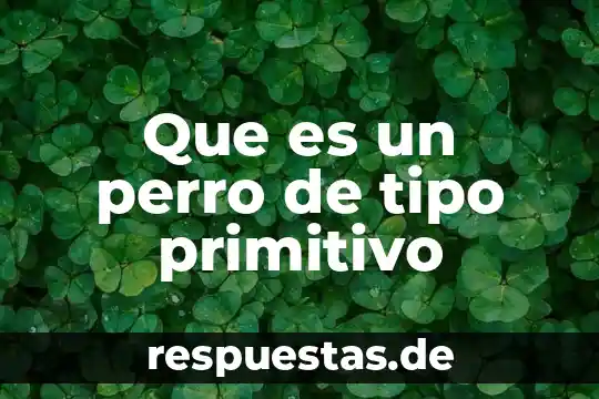 Qué es un tipo o filo de animal 8 Que es un perro de tipo primitivo