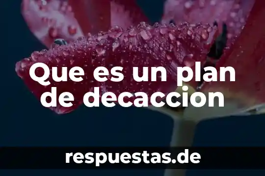 Que es un plan de decaccion