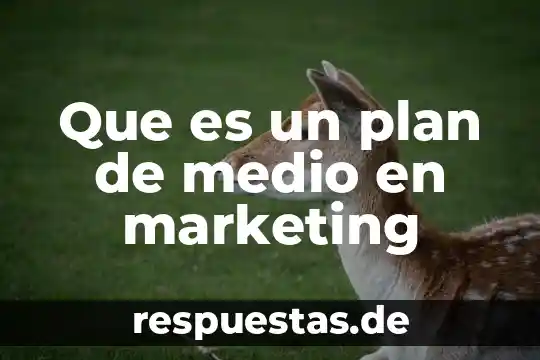 Que es un manuscrito del plan de ayutla 4 Que es un plan de medio en marketing