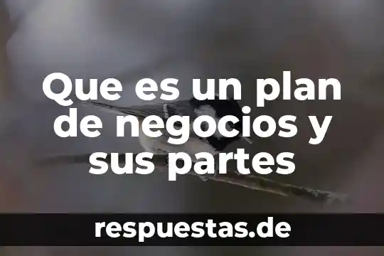 Por que es buena la libertad 3 Que es un plan de negocios y sus partes