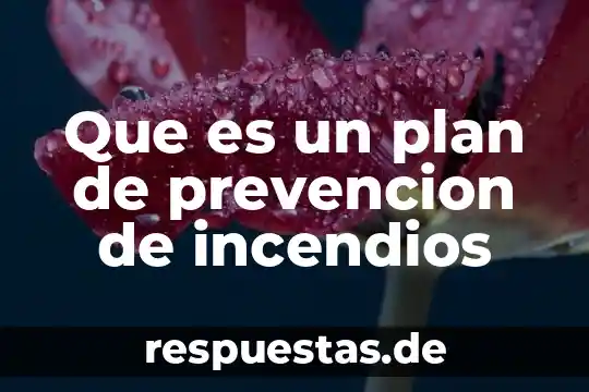 Qué es un hidrante de incendios industriales tipo gabinete 5 Que es un plan de prevencion de incendios