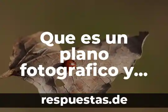 Que es la luna y cual es su funcion 5 Que es un plano fotografico y cual es su funcion
