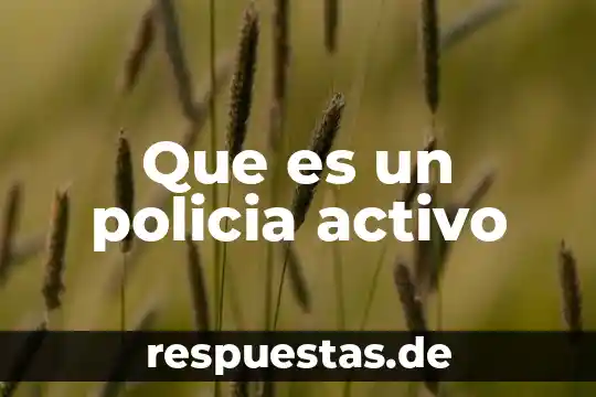 Que es un activo subyaacente 4 Que es un policia activo