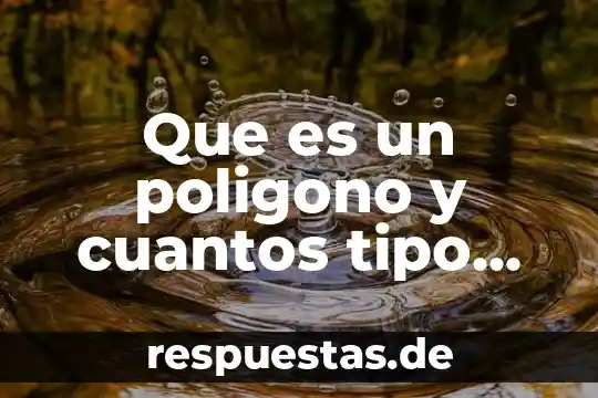 Que es el archivo default-capability.xml 3 Que es un poligono y cuantos tipo existen