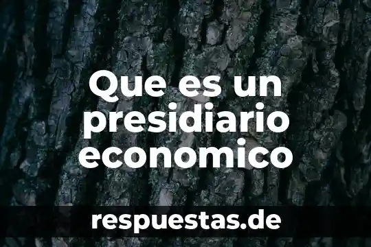 Que es un argumento economico 4 Que es un presidiario economico