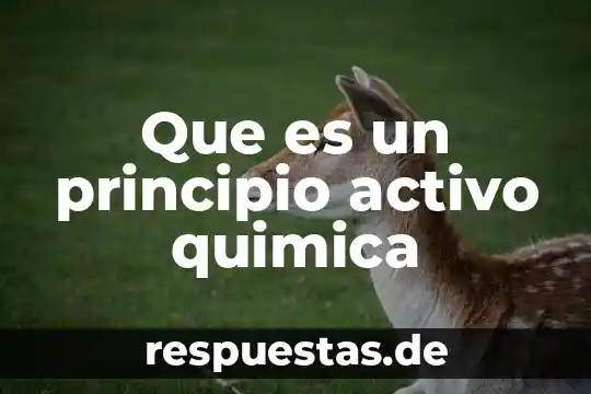 Qué es obra de principio 3 Que es un principio activo quimica
