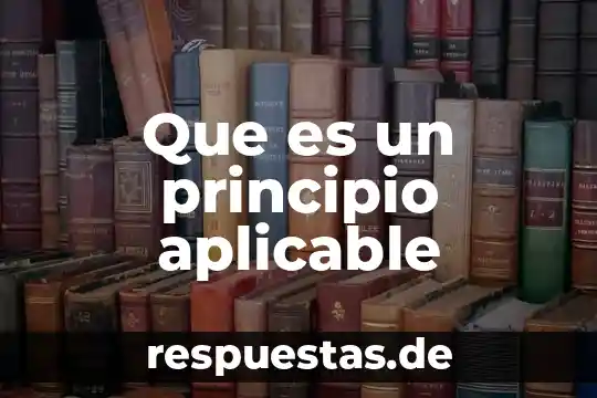 Qué es obra de principio 6 Que es un principio aplicable