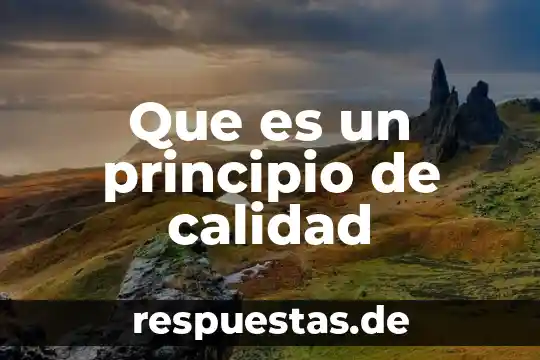 Que es un principio de calidad