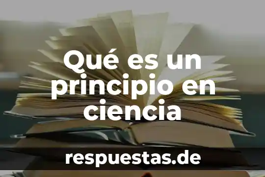 Qué es organismo diploide 5 Qué es un principio en ciencia