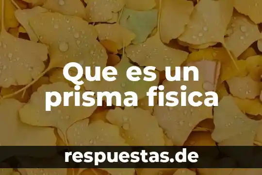 Que es un prisma fisica