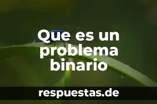Qué es un número binario 6 Que es un problema binario