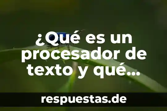 Qué es texto narrativo concepto y ejemplo 6 ¿Qué es un procesador de texto y qué funciones tienen?